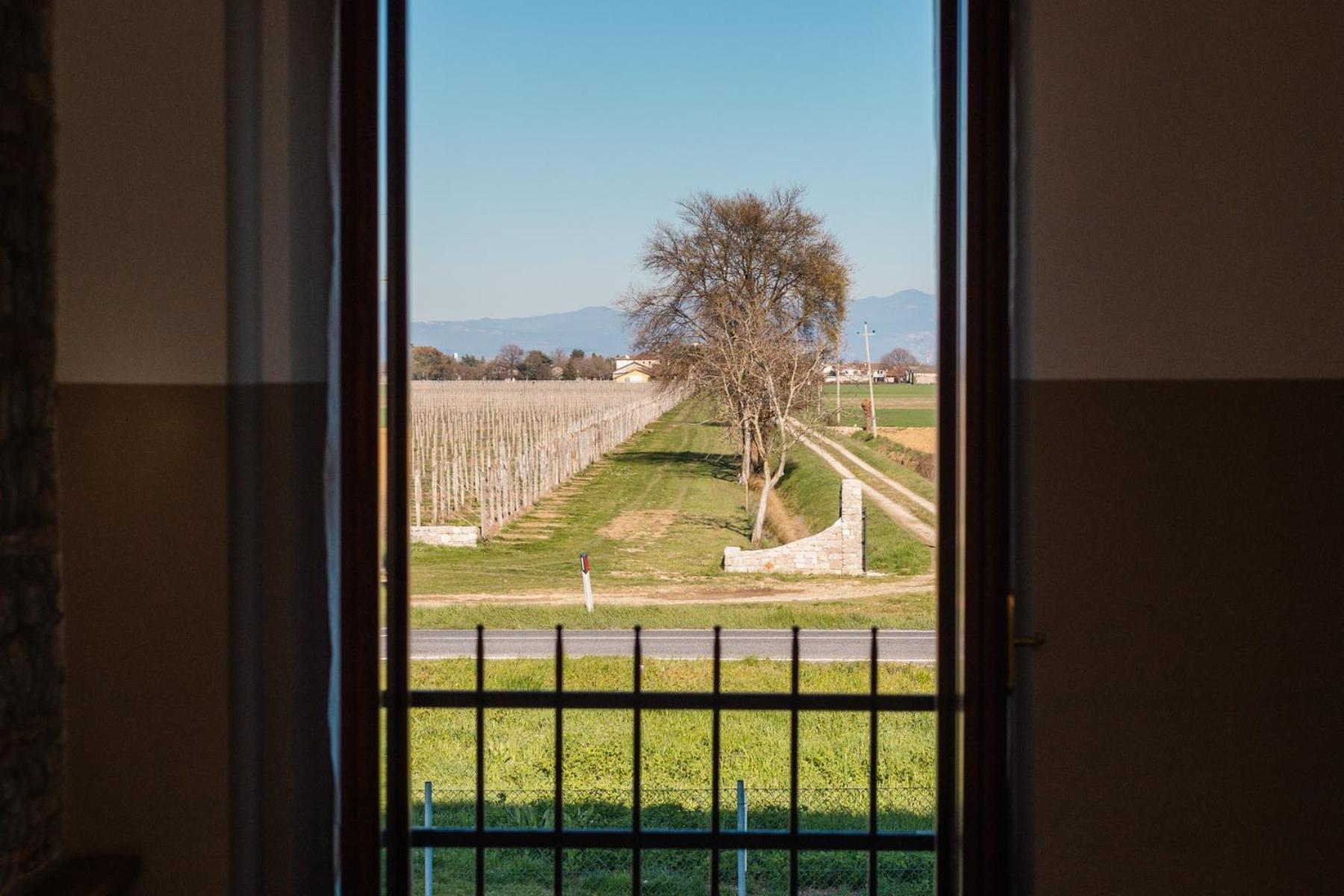 Agriturismo Mulino Delle Tolle Bagnario Arsa Luaran gambar